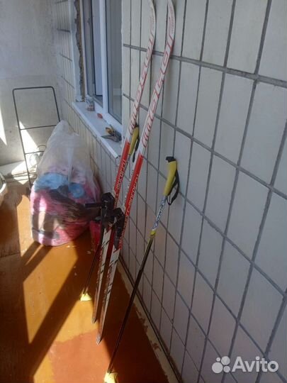 Беговые лыжи