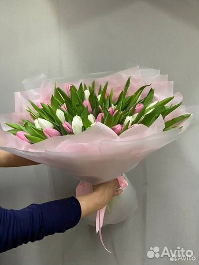 Букет из 51 белого и розового тюльпана