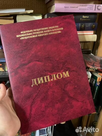 Репетитор по русскому языку и литературе из МГУ