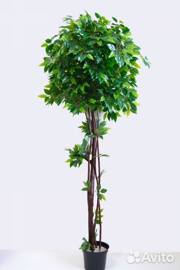 Искусственное дерево Фикус в кашпо, растение