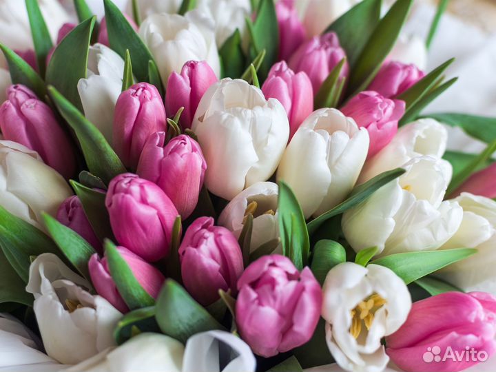 Тюльпаны, розы, букеты