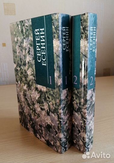 Сергей Есенин двухтомник редкое издание
