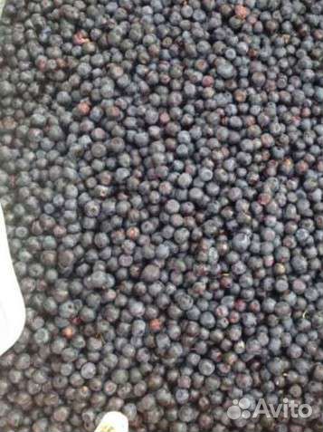 Черника, брусника, клюква, жимолость, вишня, ягода