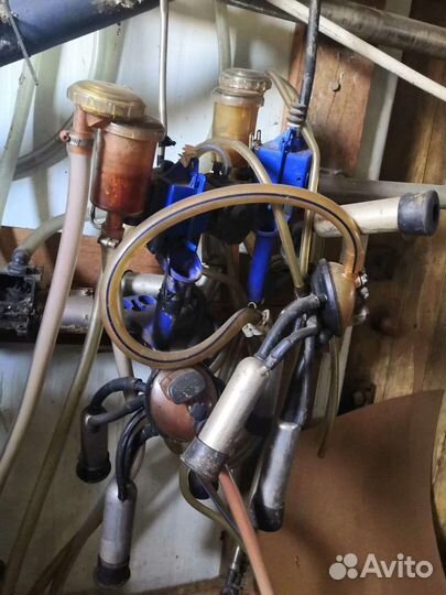 Доильные аппараты