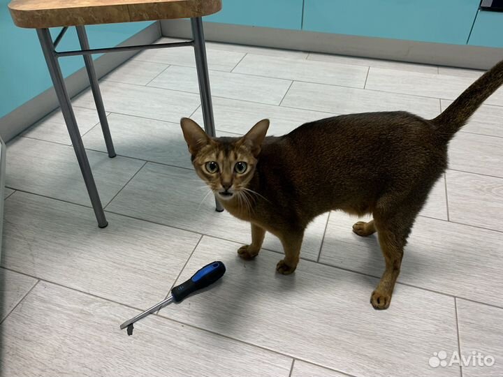 Ремонт Холодильников. Ремонт Стиральных машин