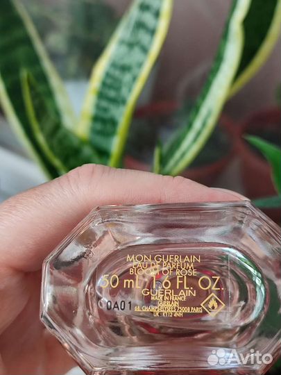 Mon guerlain bloom of rose