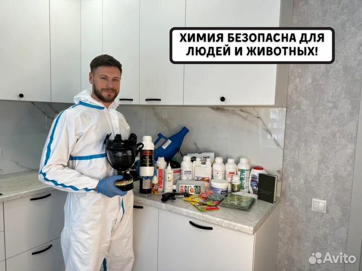 Дезинфекция / Уничтожение тараканов, клопов