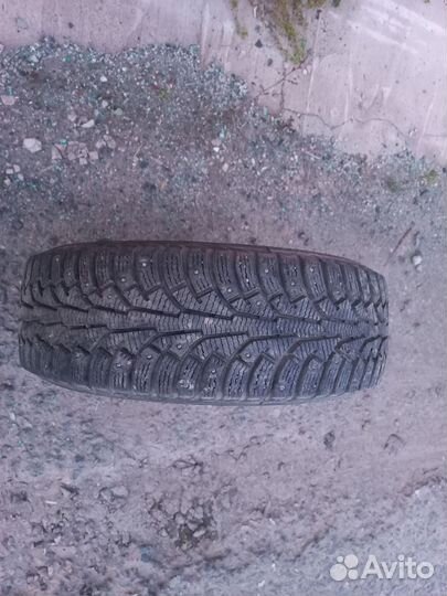 Nordman 5 195/65 R15