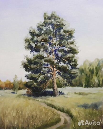Картина маслом Сосна