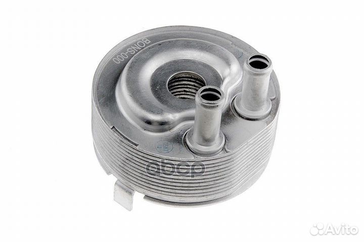 Радиатор масляный, nissan x-trial t30 2.2dci 20