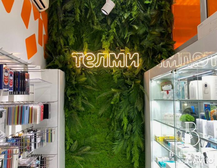 Стабилизированный мох. Современный интерьер