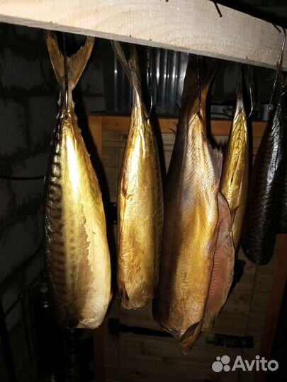 Скумбрия копченая