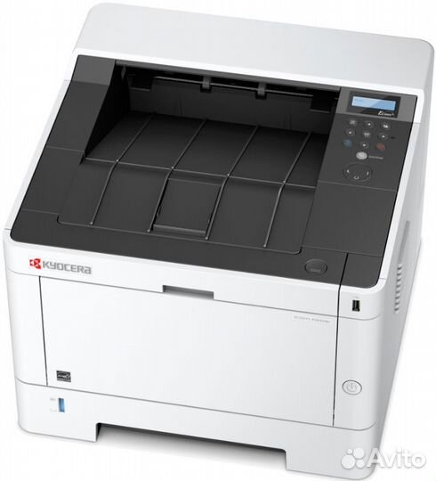 Принтер Kyocera ecosys P2040dw (1102RY3NL0)