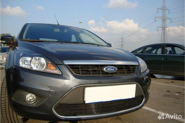 Защита радиатора (сетка) Ford Focus (2008-2011)