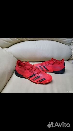 Сороконожки