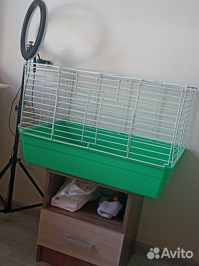 Клетка для морской свинки, кролика
