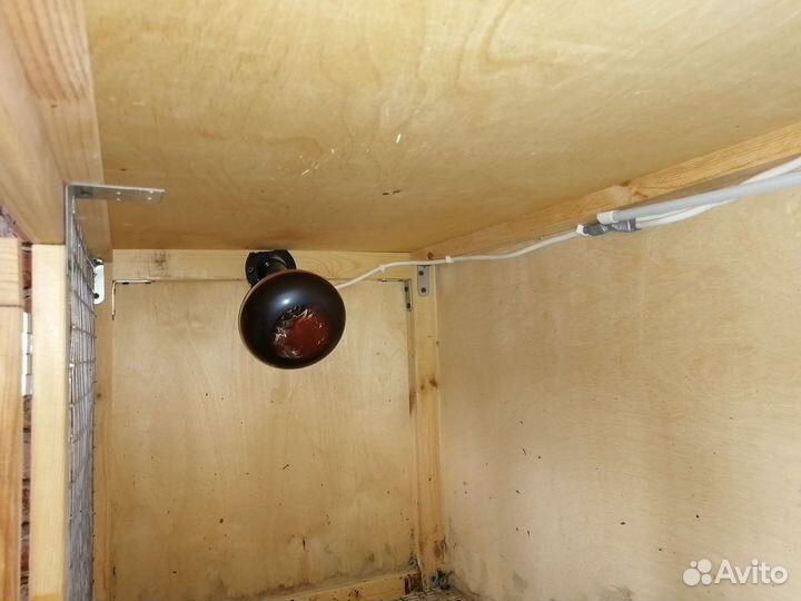 Брудер для цыплят бу