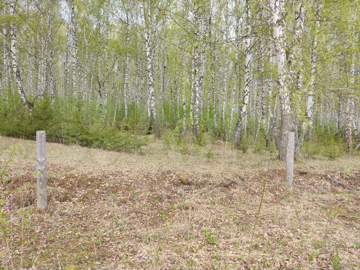 Участок 15 сот. (СНТ, ДНП)