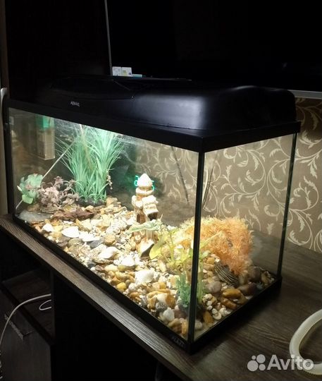 Аквариум