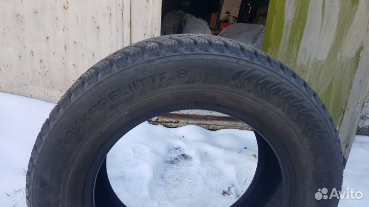 Nokian Tyres Hakkapeliitta 8 195/65 R15 95