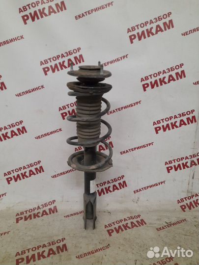 Стойка передняя Toyota Bb NCP30 2NZ-FE 2005