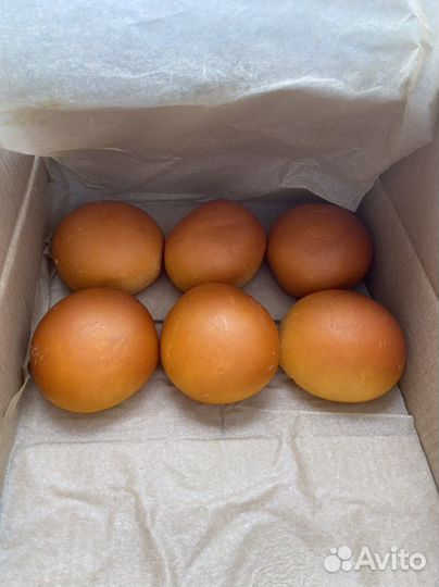 Сыр *Коса копченая*