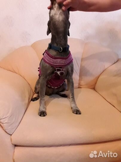 Шлейка ручной работы