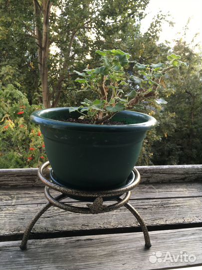 Подставка для цветов напольная металлическая