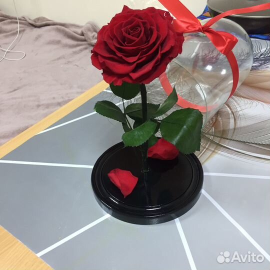 Вечная роза в колбе