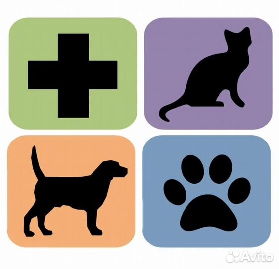 Усыпление животных