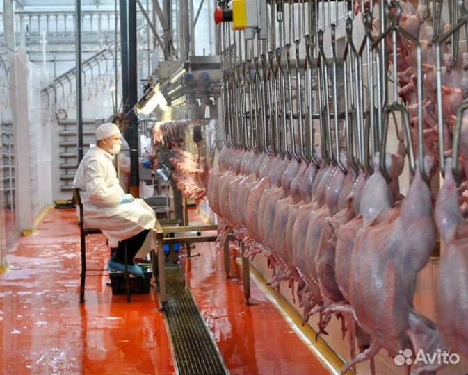 Разнорабочие на пищевое производство,без опыта