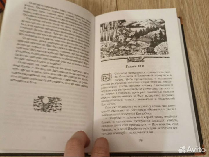 Коты Воители битва за лес