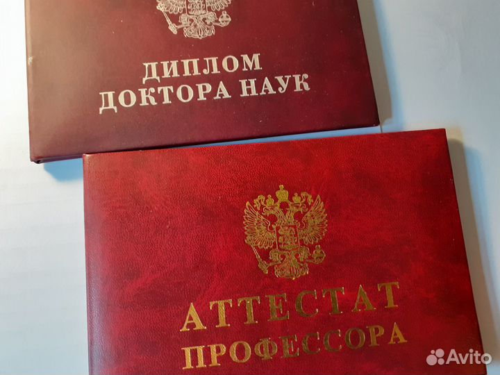 Подготовка к егэ/огэ, повышение уровня грамотности