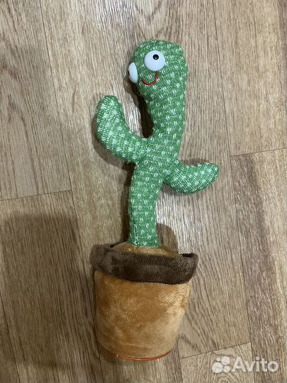 Поющий кактус