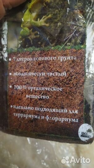 Грунт для пауков, улиток, лягушек