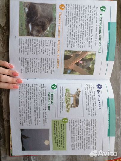 Детская энциклопедия