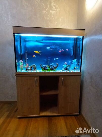 Аквариум