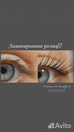 Обучение master бровист