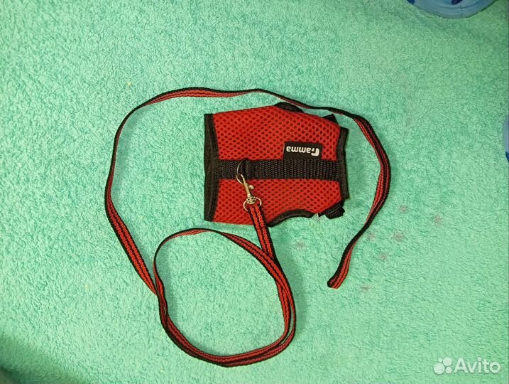 Шлейка для грызунов