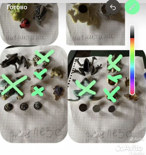 Лягушки разные