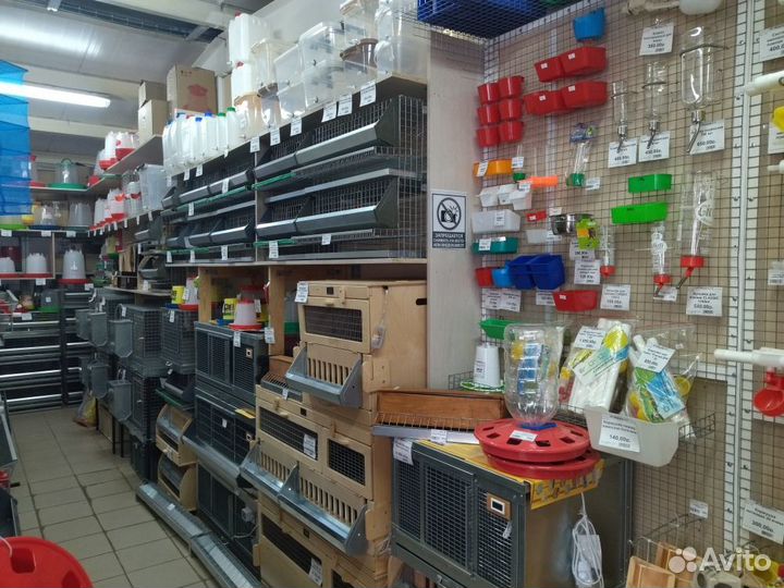 Поилки для птицы