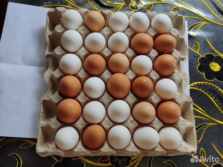 Домашние куриные яйца