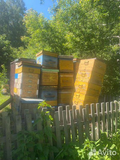 Ульи 12 рамочные, ппу 17 рамочные, цельнолитые