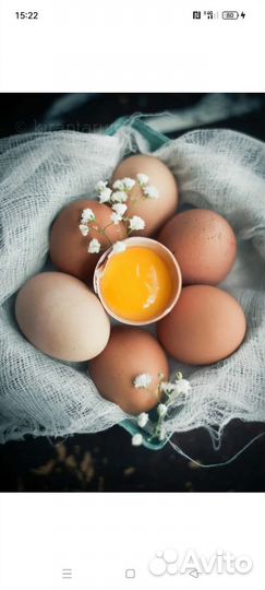 Яица домашние куриные