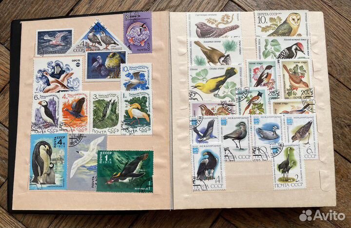 Альбом почтовых марок СССР (птицы)