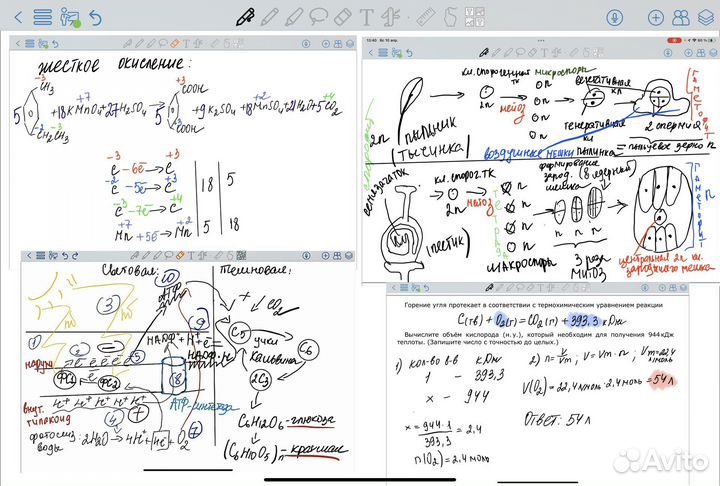 Репетитор по химии и биологии(с 5-11класс) огэ/егэ
