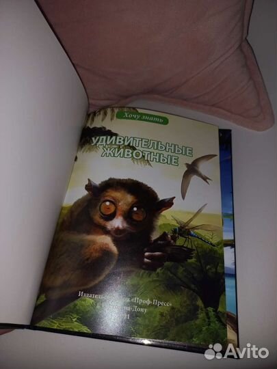 Энциклопедия 