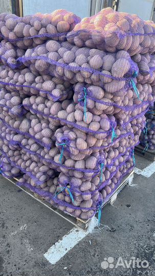Продам картофель с доставкой