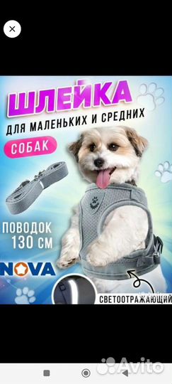 Шлейка для маленьких собак, кошек