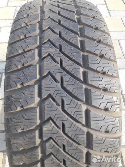 Vredestein Wintrac 225/55 R16 95H